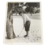 Bobby Jones Vintage 8x10 Photo - Behind a Tree - Seldom Seen
