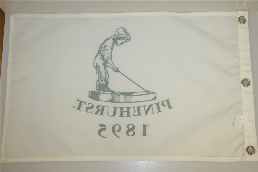 10 Assorted Golf Course Pin Flags