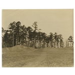Early 1930s Augusta National Golf Club Original Photo of 17th Hole
