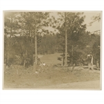 Early 1930s Augusta National Golf Club Original Photo of Tree Clearing on Property