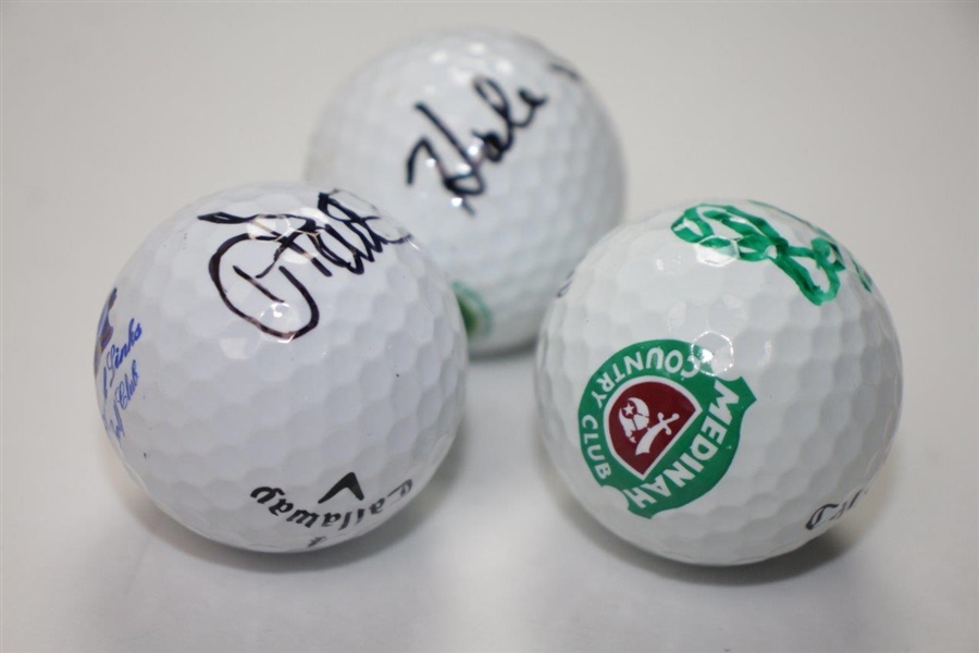 Hale Irwin, Charl Schwartzel and Ian Poulter Signed Golf Balls JSA ALOA