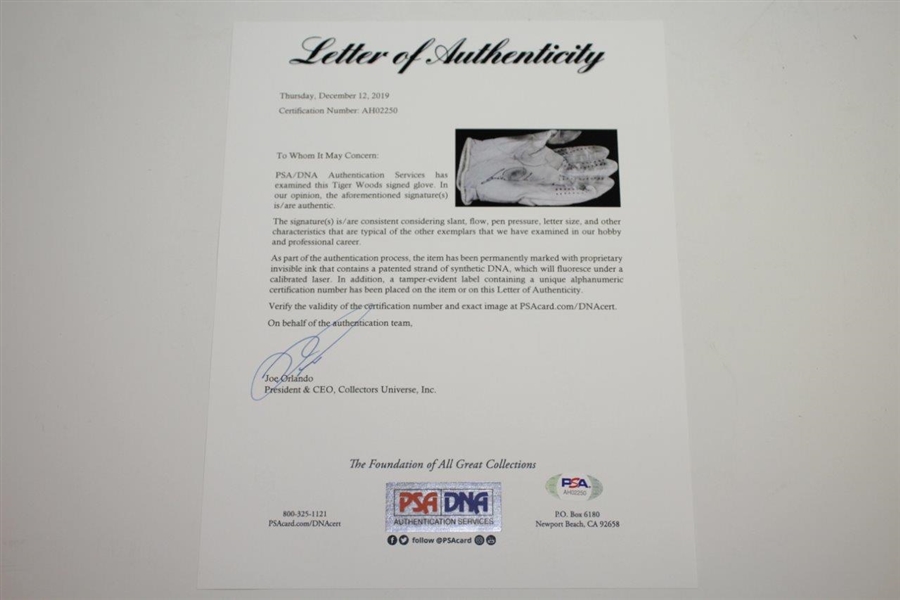 Tiger Woods Signed 2000 Tournament Used Titleist Golf Glove with IMG Letter PSA/DNA #AH02250