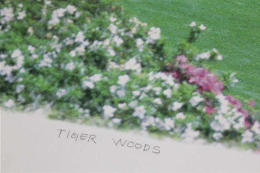 Magnificent Tiger Woods Amen Corner Thirteenth Hole 1/1 Giclée