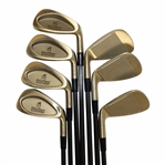 Gary Players Personal Used Gary Player Black Knight 3-9 Irons