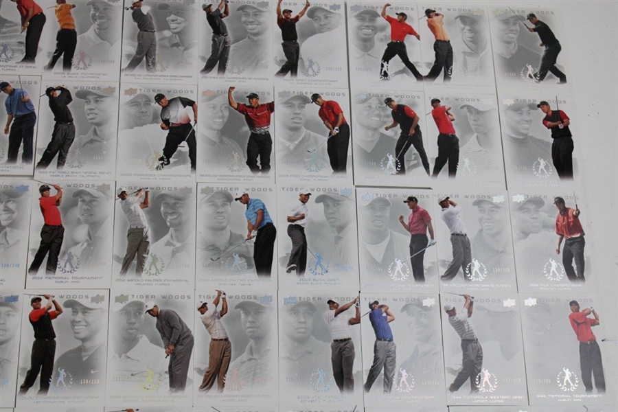 Tiger Woods Deluxe Upper Deck Ltd Ed Master Collection #139/200 in Box - Full Base