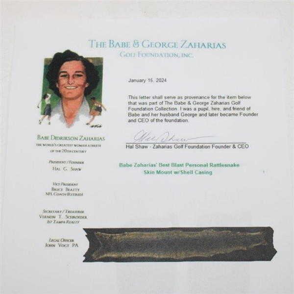 Babe Zaharias' Best Blast Personal Rattlesnake Skin Mount w/Shell Casing