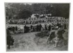 1929 USGA Amateur Bobby Jones Crowd Shot - Delmonte Wire Photo