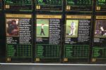 Framed Uncut Sheet Grand Slam Ventures Cards - Champions  of Golf-1934-1997 Tiger Woods