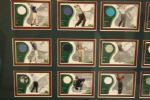 Framed Set of 2001 UDA 'Tour Threads' - 39 Cards