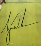 Tiger Woods Signed Players Championship Print - 2002