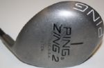 Ping Zing Prototype Driver, Phoenix, AZ  USA