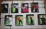 Lot of Tiger Woods Upper Deck Tigers Tales Cards - About 1,000