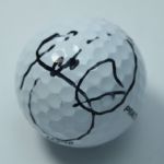 Jason Day Signed Golf Ball JSA COA