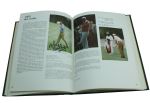Multi-Signed Book 'Masters: The First Forty One Years' - Palmer, Nicklaus, Player, Casper, more JSA COA