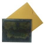 Vintage Glass Plate Negative - Dennis Brearley Collection - 114