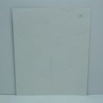 Rory McIlroy Signed 8x10 Photo - About To Drive JSA COA