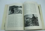 1906 Metropolitan Magazine - Blendon Campbell Artwork of Woman Golfer on Cover