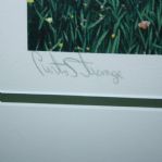 Curtis Strange Signed Ltd Edition '15th at Cypress Point' Helen Rundell Artists Proof #25/50