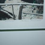 Curtis Strange Signed Ltd Edition '15th at Cypress Point' Helen Rundell Artists Proof #25/50