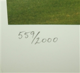Peter Thomson Signed 'Peter Thomson - 50 Years On' Framed LTD Ed #559/2000 JSA COA