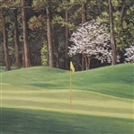 Linda Hartough Signed & Limited 1999 Masters Hole #8- Player Gift with Original Packaging - Steve Jones Collection JSA OA