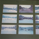 Pine Valley Photo Display - 16 Photographs - Framed