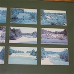 Pine Valley Photo Display - 16 Photographs - Framed