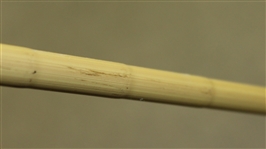 Bobby Jones 'Robt. T. Jones Jr.' LH 2-9 Irons - Reg #194034B - Jones Form Grip Pat.
