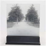 2012 Jamboree 'Magnolia Lane' Bowl with Mounted Picture - Seldom Seen - Wow!