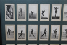 Full Set of 50 Marsuma Co. Tobacco Cards - Framed Presentation