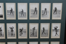 Full Set of 50 Marsuma Co. Tobacco Cards - Framed Presentation