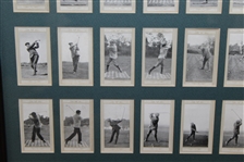 Full Set of 50 Marsuma Co. Tobacco Cards - Framed Presentation