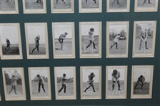 Full Set of 50 Marsuma Co. Tobacco Cards - Framed Presentation