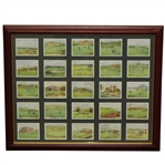 Full Set of 1924 W.D. & H.O. Wills Tobacco Cards - Complete Set of 25 - Framed