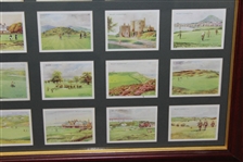 Full Set of 1924 W.D. & H.O. Wills Tobacco Cards - Complete Set of 25 - Framed