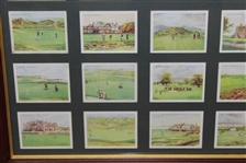 Full Set of 1924 W.D. & H.O. Wills Tobacco Cards - Complete Set of 25 - Framed