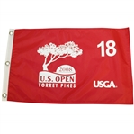 2008 US Open at Torrey Pines Red Flag - Tiger's 14th Major