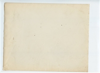 Early 1930's Augusta National Golf Club Original Photo of Magnolias