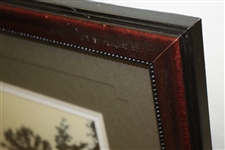Color Photo of Course Green Framed & Matted