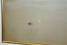Pencil and Pastel On Board Signed by Artist Fielyen - Framed