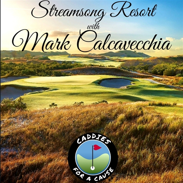 Foursome Golf Round with Mark Calcavecchia at Streamsong Resort - Caddies For A Cause
