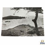 Original 1931 Cypress Point 9x7 Wire Photo of 16th Tee The Way It Was