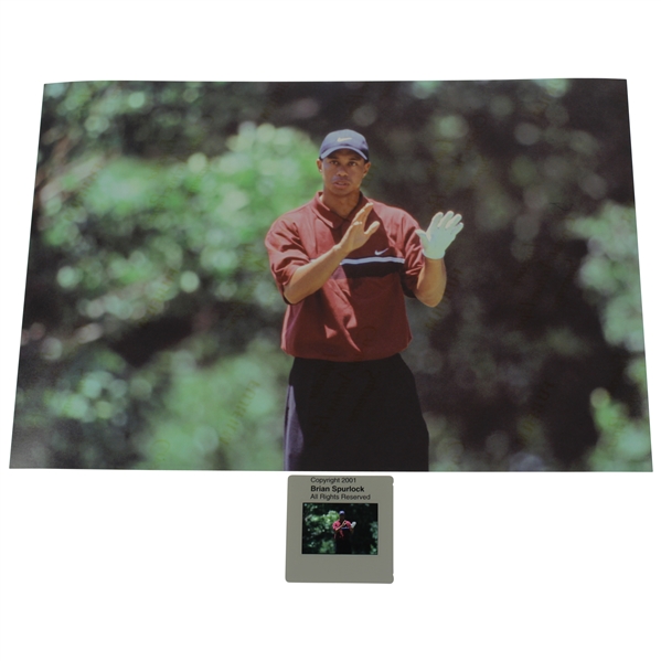 Tiger Woods Origina 2001 Color Slide & Print - Comes with Photo Rights