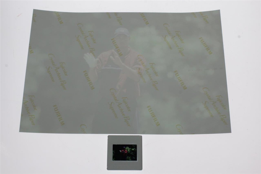 Tiger Woods Origina 2001 Color Slide & Print - Comes with Photo Rights