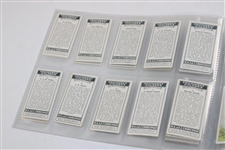 Full Set of W.A. & A.C. Churchman's Cigarettes Series of Fifty (50) Prominent Golfers Golf Cards