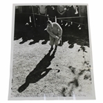 Gene Sarazen Great Overhead Shot Shadow Shooting 1/20/39 Wire Photo