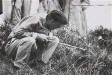 Arnold Palmer Royal Birkdale Hitting Out of Trouble 7/13/61 Daily Telegram Photo 