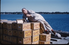 Walter Hagen Photo Slides Collection