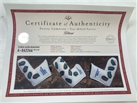 Scotty Cameron Custom Florida Gators Studio Design Custom Chris DiMarco Putter Headcover w/ LOA