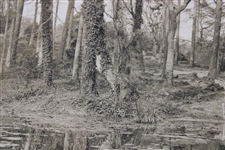 1930's Augusta National GC Original Photo of Pond/Lake on Future Construction Site of Hole #8
